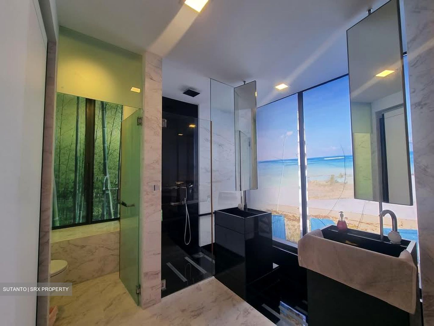 The Trizon (D10), Condominium #595449551